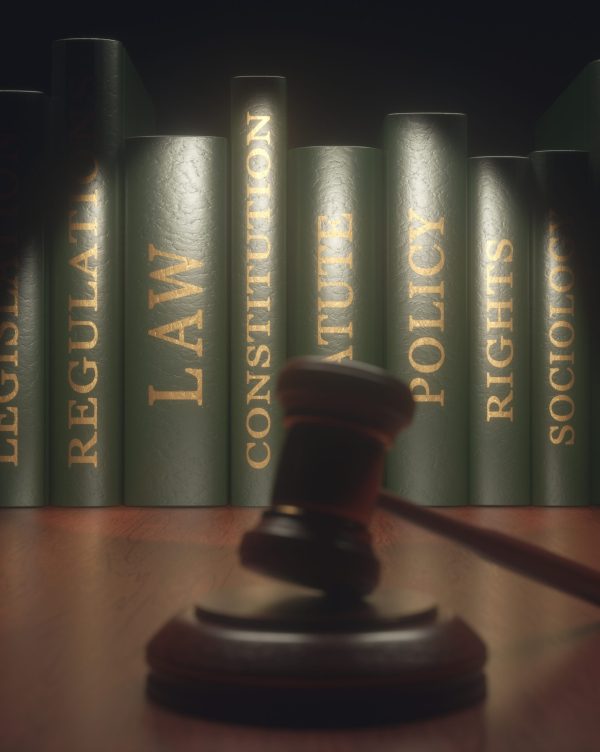 بروفايل مكتب المحامية روينا عبدالفتاح ٢ (1) edit 265057538678825